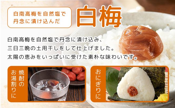 紀州南高梅 口熊野 ご家庭用 1kg 白梅 塩分約22％ 304018_DG05