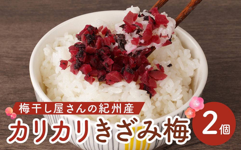 紀州産 カリカリ きざみ梅 (しそ・かつお) 各180g カリカリ梅 ごはんのお友 304018_DG10