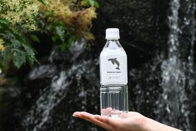 アドベンチャーワールドオリジナルラベル 富田の水 500mlPET 24本入り 304018_DH01