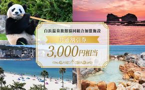 白浜温泉旅館協同組合加盟施設 共通宿泊割引券 3000円相当 304018_DM001