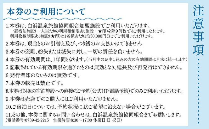 白浜温泉旅館協同組合加盟施設 共通宿泊割引券 9000円相当 304018_DM003
