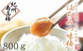 はちみつ梅　ぽってり特選（800ｇ）紀州南高梅【梅農家手づくり梅干】 304018_J003