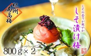 しそ漬け梅　特選　(800ｇ×2パック）紀州南高梅【梅農家手づくり梅干】 304018_J006
