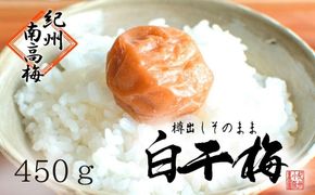 無添加　白干梅　(2L～3Lサイズ、450g）紀州南高梅　【梅農家厳選　手づくり梅干】 304018_J008