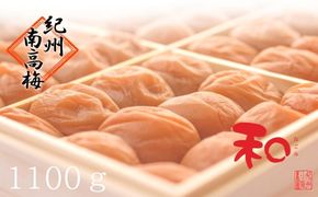 はちみつ南高梅 はぶたえ梅『和』薄皮で豊潤！贅沢な逸品！ 304018_J009