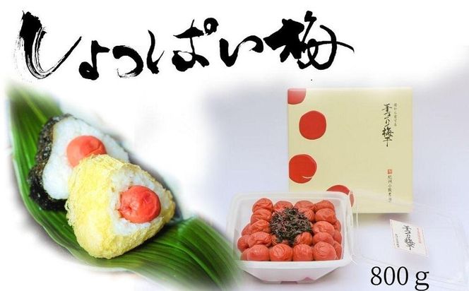 無添加　しそ梅　しょっぱい（食べごろLサイズ800g）紀州南高梅【梅農家手づくり梅干】 304018_J012