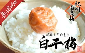 無添加　白干梅　(2L～3Lサイズ、800g）紀州南高梅　【梅農家厳選　手づくり梅干】 304018_J013