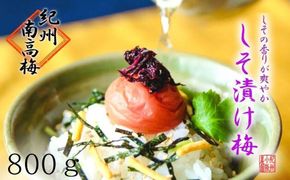 しそ漬け梅　特選　(800ｇ）紀州南高梅【梅農家手づくり梅干】 304018_J014