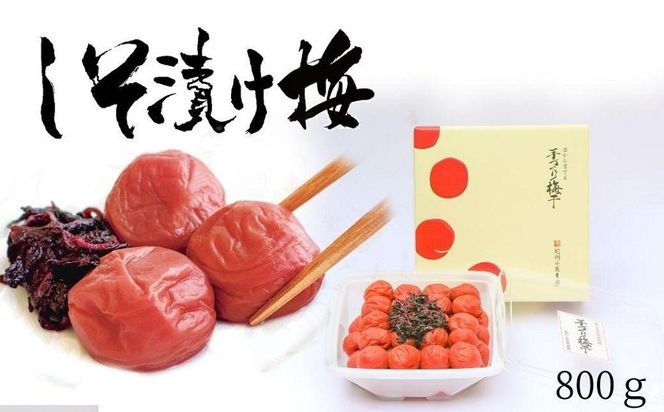 しそ漬け梅　特選　(800ｇ）紀州南高梅【梅農家手づくり梅干】 304018_J014