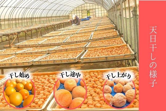 しそ漬け梅　特選　(400ｇ）紀州南高梅【梅農家手づくり梅干】 304018_J015