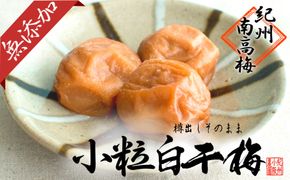 無添加  白干梅（小粒450g）紀州南高梅【梅農家厳選　手づくり梅干】 304018_J017