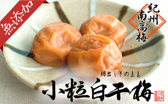無添加  白干梅（小粒450g）紀州南高梅【梅農家厳選　手づくり梅干】 304018_J017