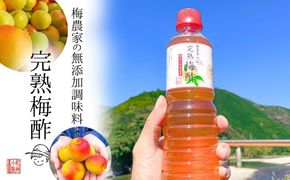 無添加 梅酢 500ml×2本 梅と天日塩だけ 農家の手作り完熟梅酢  調味料 304018_J020