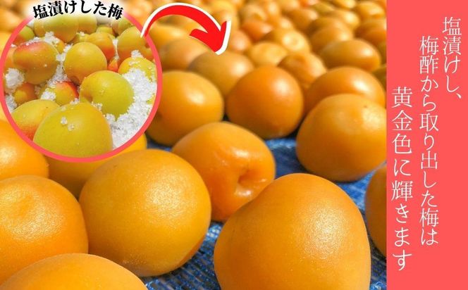 無添加 梅酢 500ml×2本 梅と天日塩だけ 農家の手作り完熟梅酢  調味料 304018_J020