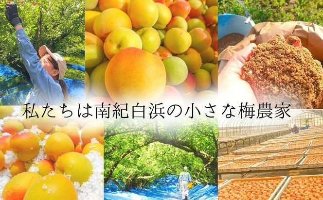 無添加 梅酢 500ml×2本 梅と天日塩だけ 農家の手作り完熟梅酢  調味料 304018_J020