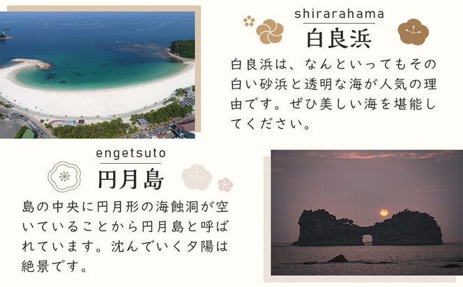 【白浜町、那智勝浦町、上富田町】JTBふるさと旅行券（紙券）900,000円分 304018_JDS03