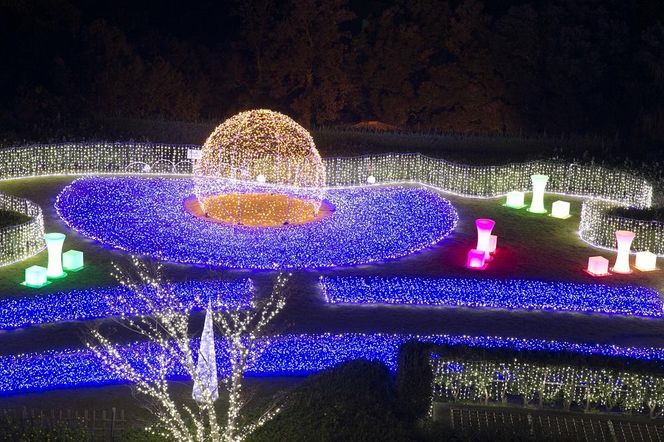 【白浜古賀の井リゾート＆スパ】平休日1泊2食付ペア宿泊券《スタンダードツイン》 304018_JTB6506-037