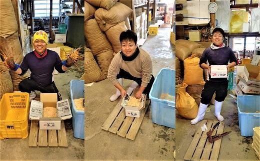 活 伊勢海老 2尾～3尾 セット 合計 約1kg 産地直送 番長おススメ 304018_K001