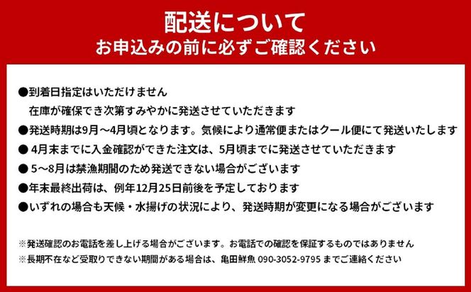 活 伊勢海老 3尾～5尾 セット  合計 約2kg 産地直送 304018_K002