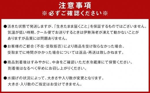 活 伊勢海老 3尾～5尾 セット  合計 約2kg 産地直送 304018_K002