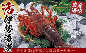 活 伊勢海老 合計約2kg セット 訳あり ２番手 304018_K003