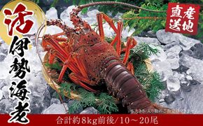 活 伊勢海老 10尾 ～ 20尾 セット 合計 約8kg 産地直送 304018_K007