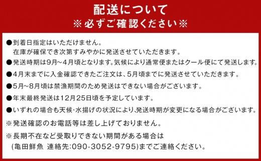 冷凍 伊勢海老 お鍋用 約1.2kg 産地直送 304018_K013