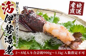 活 伊勢海老 2尾 ～ 8尾 合計 約 900g ～ 1.1kg セット 産地直送 船長ジュニア りん君おススメ 304018_K021