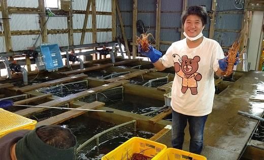 活 伊勢海老 2尾 ～ 8尾 合計 約 900g ～ 1.1kg セット 産地直送 船長ジュニア りん君おススメ 304018_K021