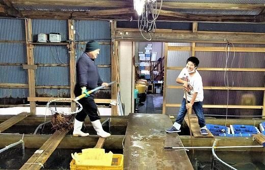 活 伊勢海老 2尾 ～ 8尾 合計 約 900g ～ 1.1kg セット 産地直送 船長ジュニア りん君おススメ 304018_K021