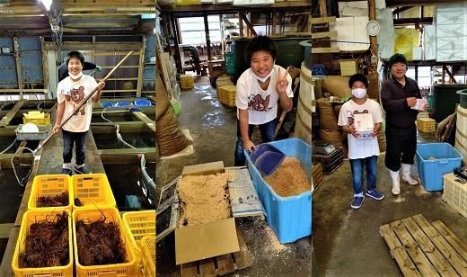 活 伊勢海老 2尾 ～ 8尾 合計 約 900g ～ 1.1kg セット 産地直送 船長ジュニア りん君おススメ 304018_K021