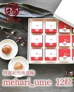 紀州南高梅　超大粒　mehari_ume12粒 304018_P013