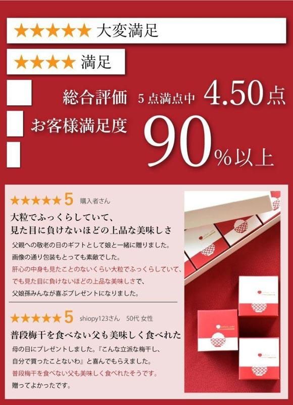 紀州南高梅　超大粒　mehari_ume12粒 304018_P013