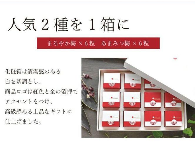 紀州南高梅　超大粒　mehari_ume12粒 304018_P013