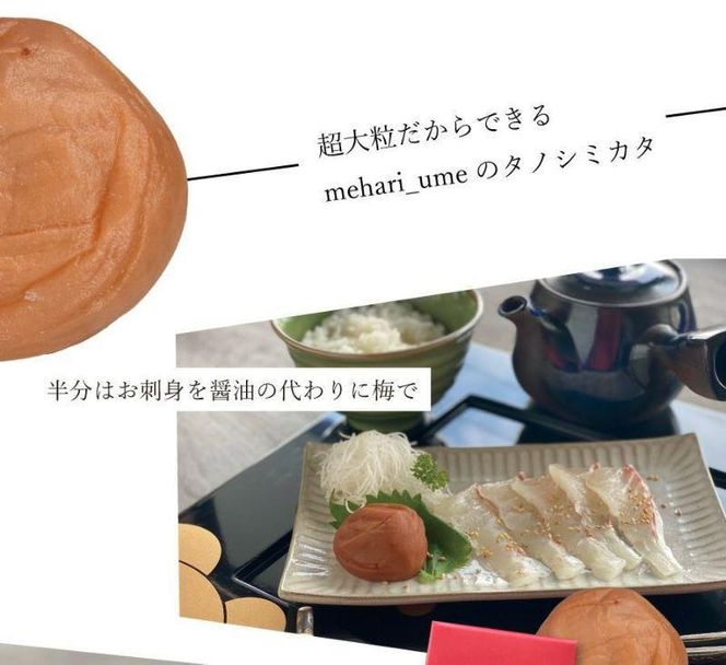 紀州南高梅　超大粒　mehari_ume12粒 304018_P013