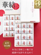 紀州南高梅　華結24粒 (まろやか梅＆あまみつ梅人気2種） 304018_P015