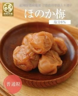 紀州南高梅 ほのか250g×4パック(塩分約8%)程よい甘さと塩味の梅干[ギフト 化粧箱入り 贈答用] 304018_P016-GFT
