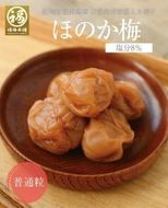 紀州南高梅 ほのか250g×4パック（塩分約8％）程よい甘さと塩味の梅干【ギフト 化粧箱入り 贈答用】 304018_P016-GFT