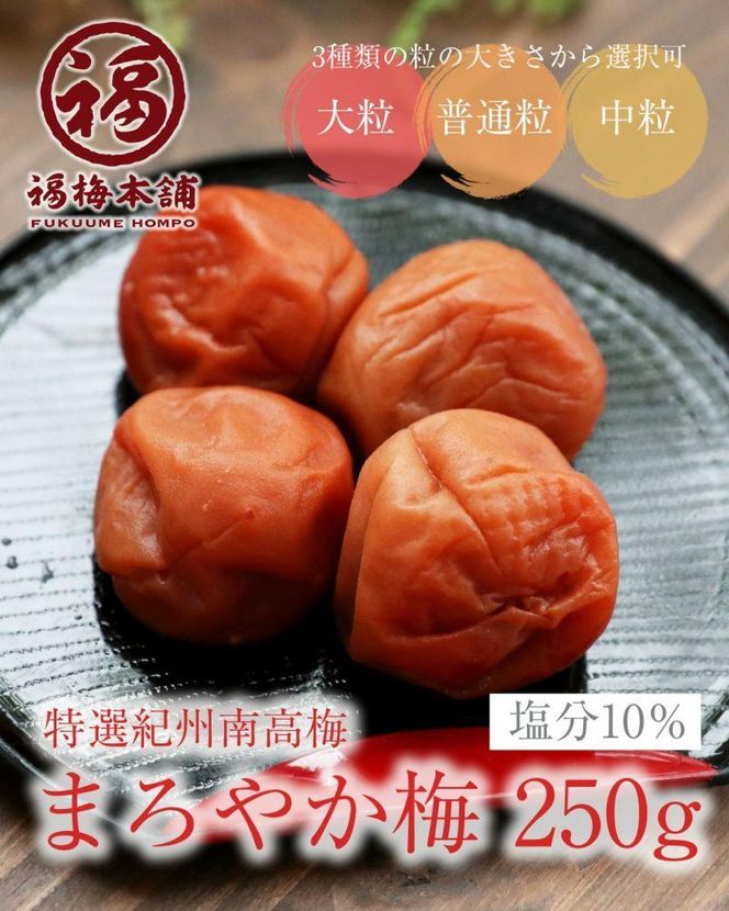 紀州南高梅　人気あまい梅干4種 1Kg（250g×4パック） 304018_P017