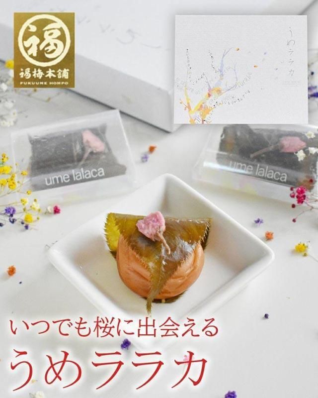 紀州南高梅 うめララカ 桜葉と桜花を添えて[ギフト 化粧箱入り 贈答用] 304018_P018-GFT