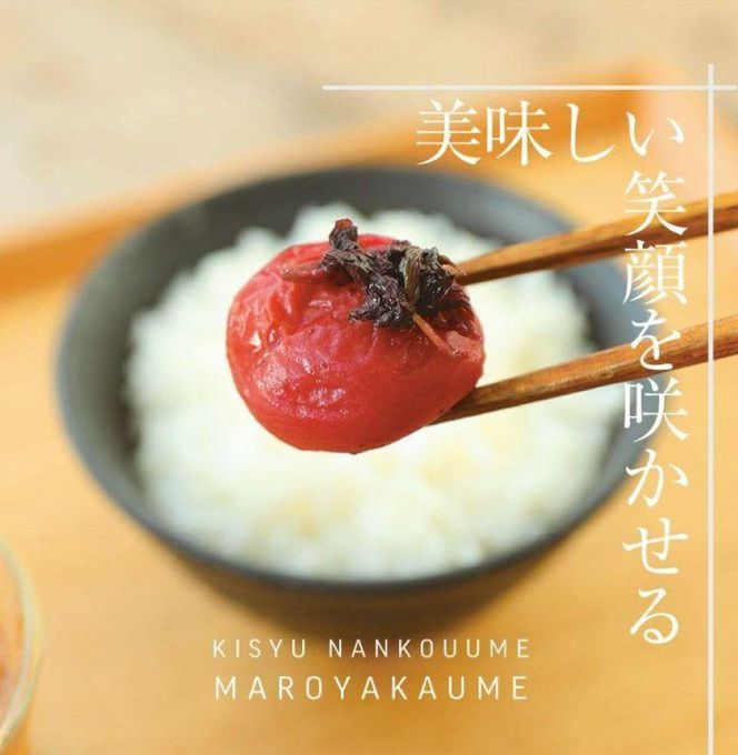ご家庭用 しそ漬梅 塩分20％ 250g 昔ながらの酸っぱい梅干し 最高級紀州南高梅 和歌山県産 産地直送 福梅本舗 304018_P027