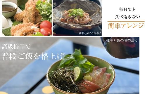 訳あり 昔ながらのすっぱい白干梅 皮切れ　450×2パックセット 紀州南高梅 304018_P040