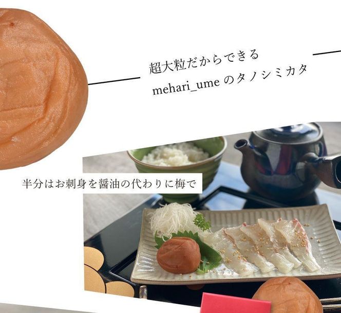 紀州南高梅　超大粒　mehari_ume6粒 304018_P044