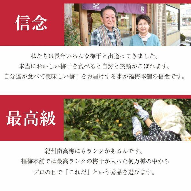 紀州南高梅　梅の鏡1段 あまみつ梅 304018_P048