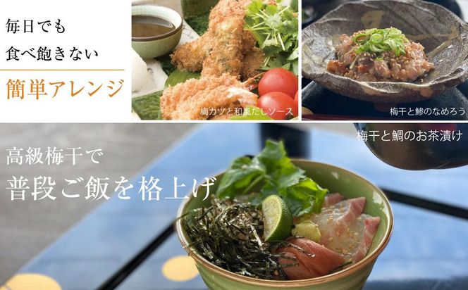 はちみつ梅干　紀州南高梅 産地直送　訳あり皮切れ450g　あまみつ 304018_P056