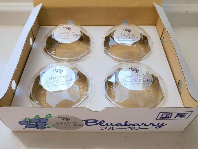 南紀白浜産ブルーベリー 約400g 304018_Y008