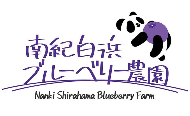 南紀白浜産ブルーベリー 約400g 304018_Y008