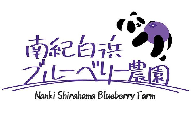 南紀白浜産ブルーベリー 約800g 大容量 304018_Y009