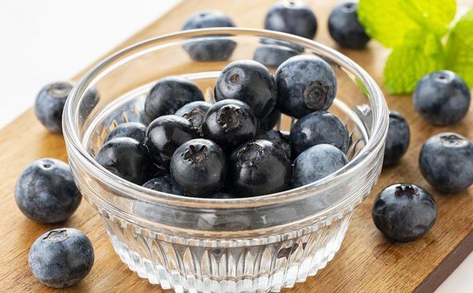 南紀白浜産ブルーベリー 約800g 大容量 304018_Y009