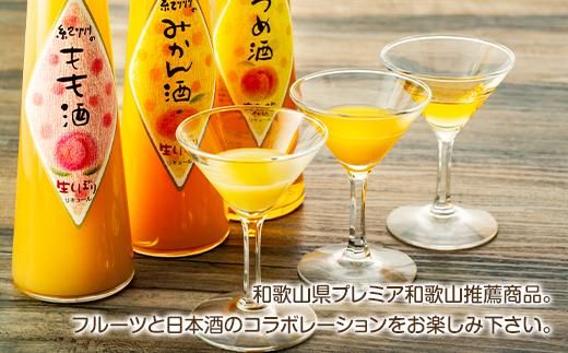 和歌山こだわりリキュール 紀州フルーツの酒3本ギフト 303446_DW90001